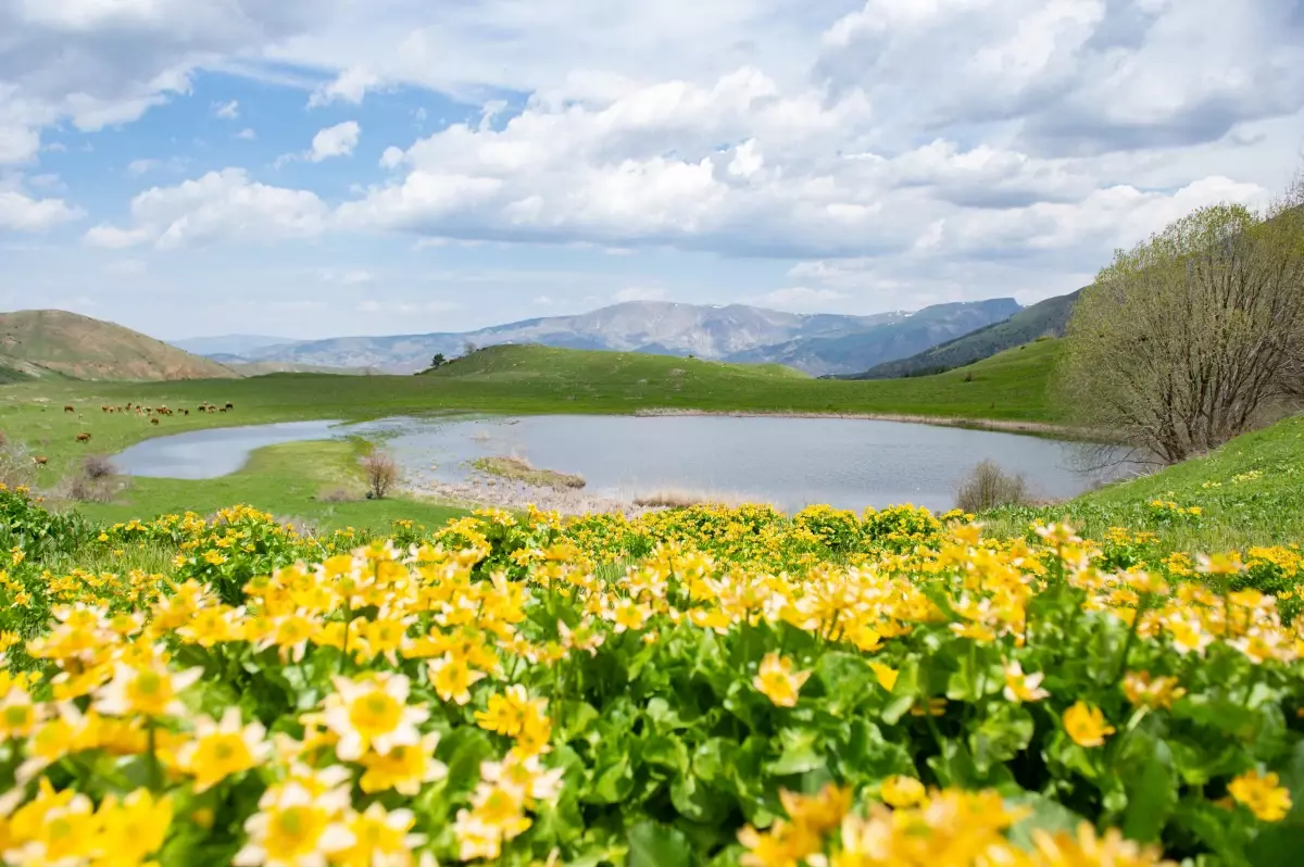 Erzurum\'un ilçeleri ilkbahar güzelliğiyle fotoğraf tutkunlarını ağırlıyor