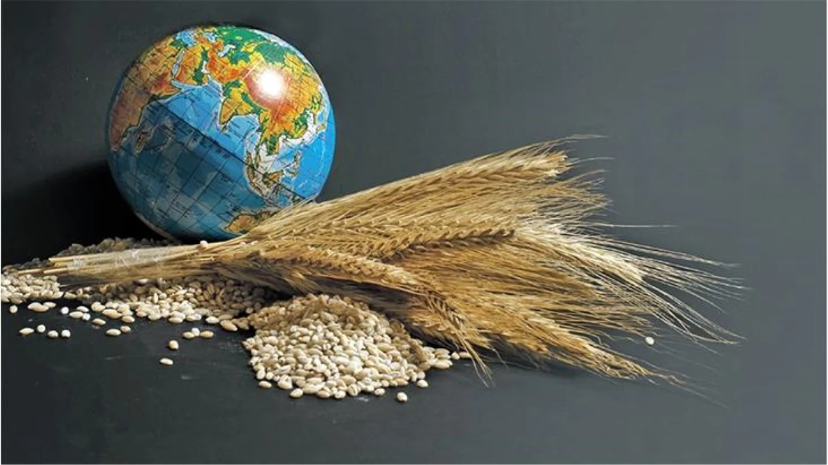 G7\'den "küresel açlık krizi" uyarısı! "Ukrayna\'nın 25 milyon ton tahılı Rus güçleri tarafından bloke edilmiş durumda"