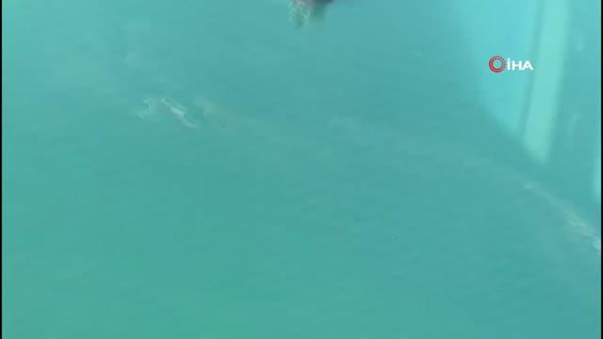 İzmit Körfezi'ni kirleten gemi böyle tespit edildi