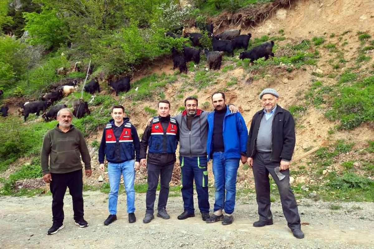 Son dakika haberleri... Küçükbaş hayvanları kaybolan yaylacıların imdadına Jandarma yetişti