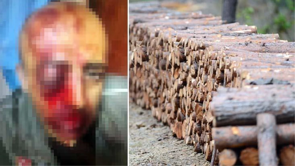 Odun kaçakçıları, orman muhafaza memurunu dövdü: Serbest bırakıldılar!