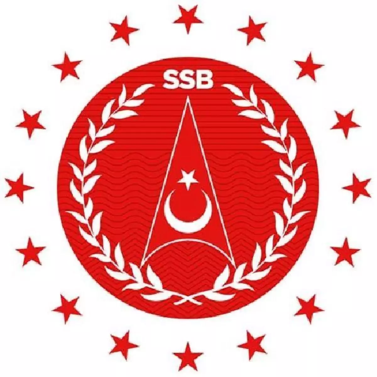 Savunma Sanayii Başkanlığı\'na yeni logo