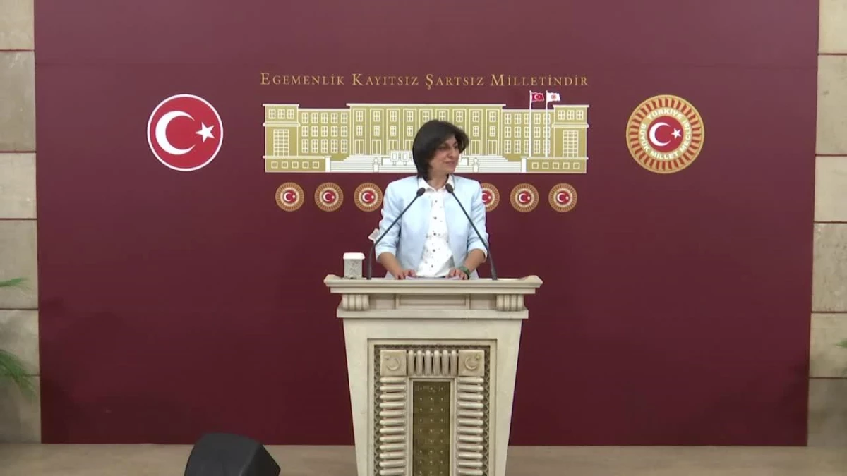 Sibel Özdemir\'den Yargı Tepkisi: "İç Politikada Muhalefeti Sindirmeye Dönük Bir Kazanım Elde Etmek İsterken Dış Politikada İtibar Kaybına Neden...