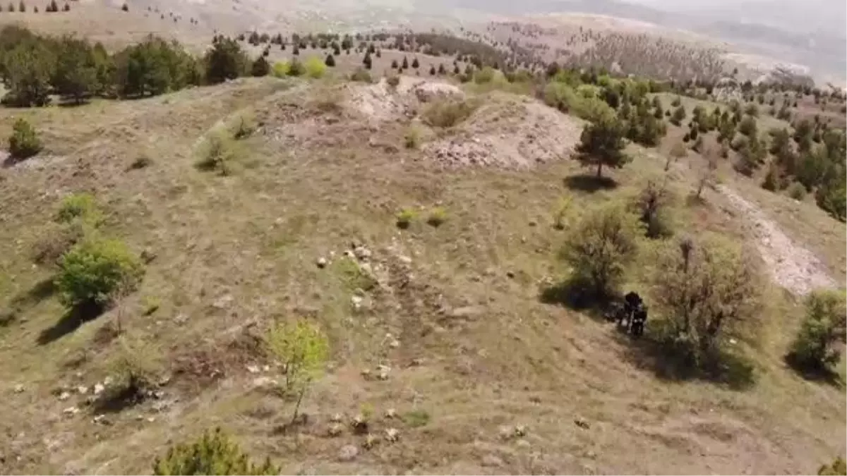 Tarihi Harput\'ta "Despina Hatun Sarayı"nın izlerine ulaşmak için yüzey araştırması yapıldı