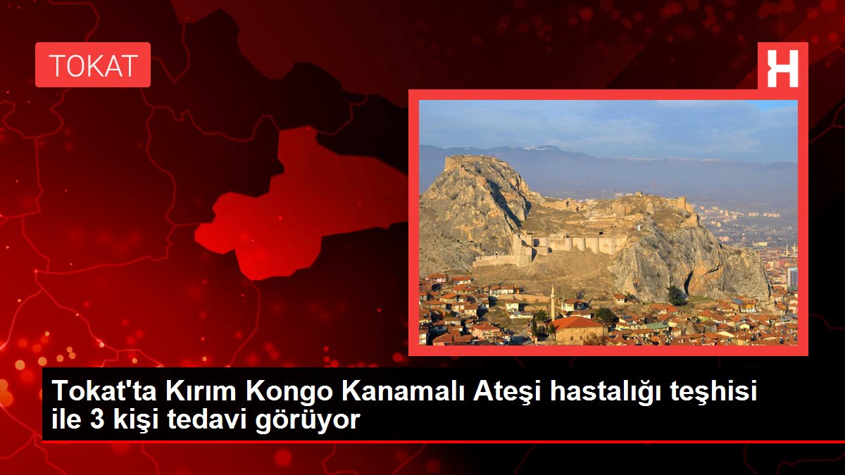 Son dakika haberi... Tokat'ta Kırım Kongo Kanamalı Ateşi hastalığı teşhisi ile 3 kişi tedavi görüyor