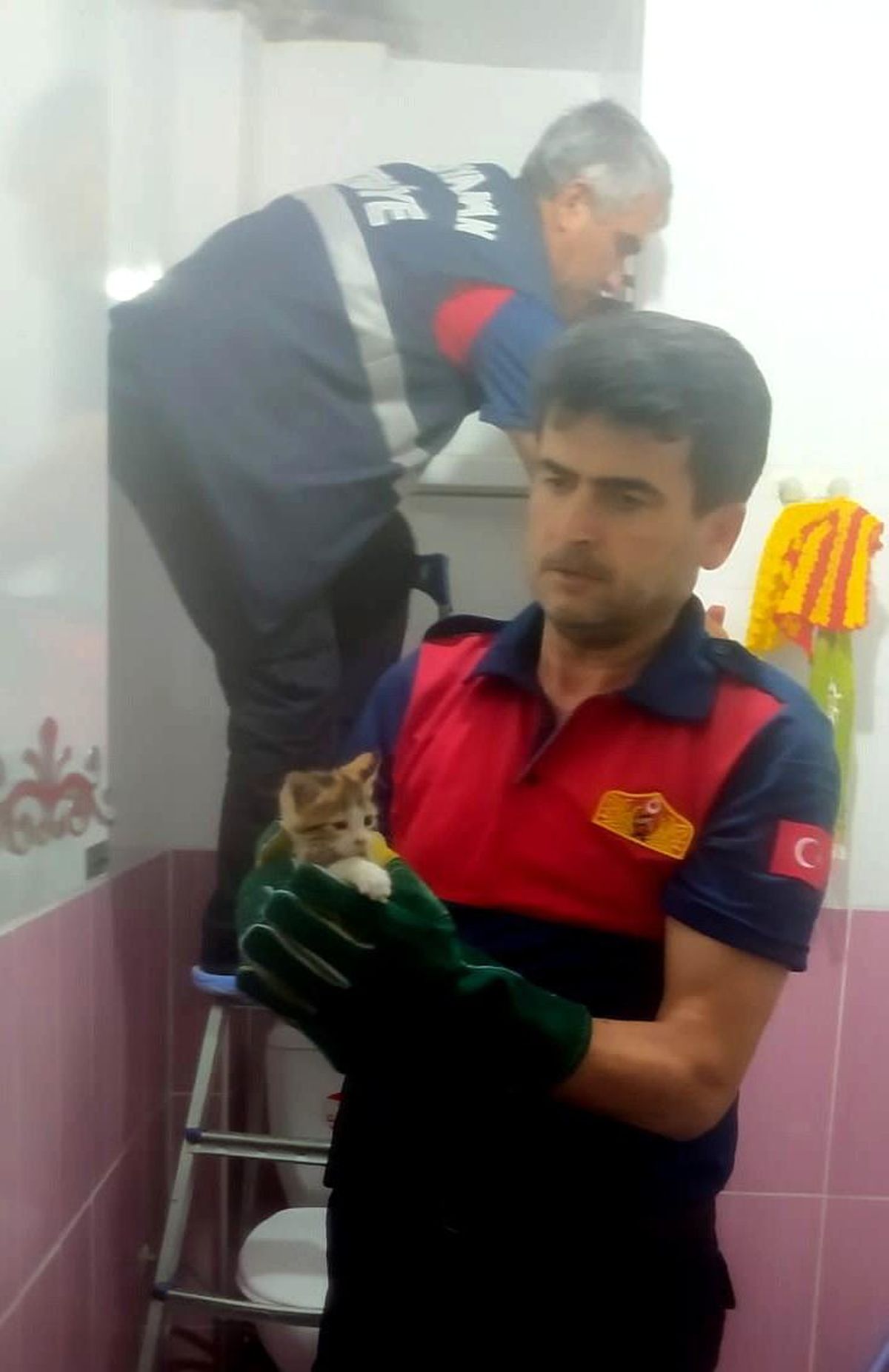 Yavru kediyi itfaiye kurtardı