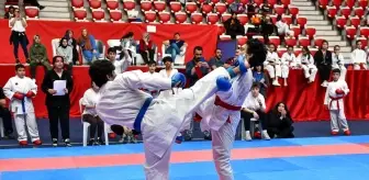 Ankara Büyükşehir'den Karate Şenliği