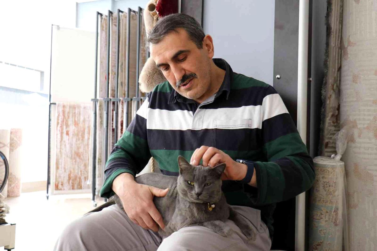 Beslemek için aldığı kedi can dostu oldu