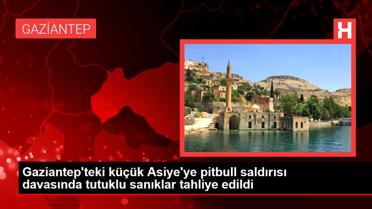 Son dakika haber | Gaziantep'teki küçük Asiye'ye pitbull saldırısı davasında tutuklu sanıklar tahliye edildi