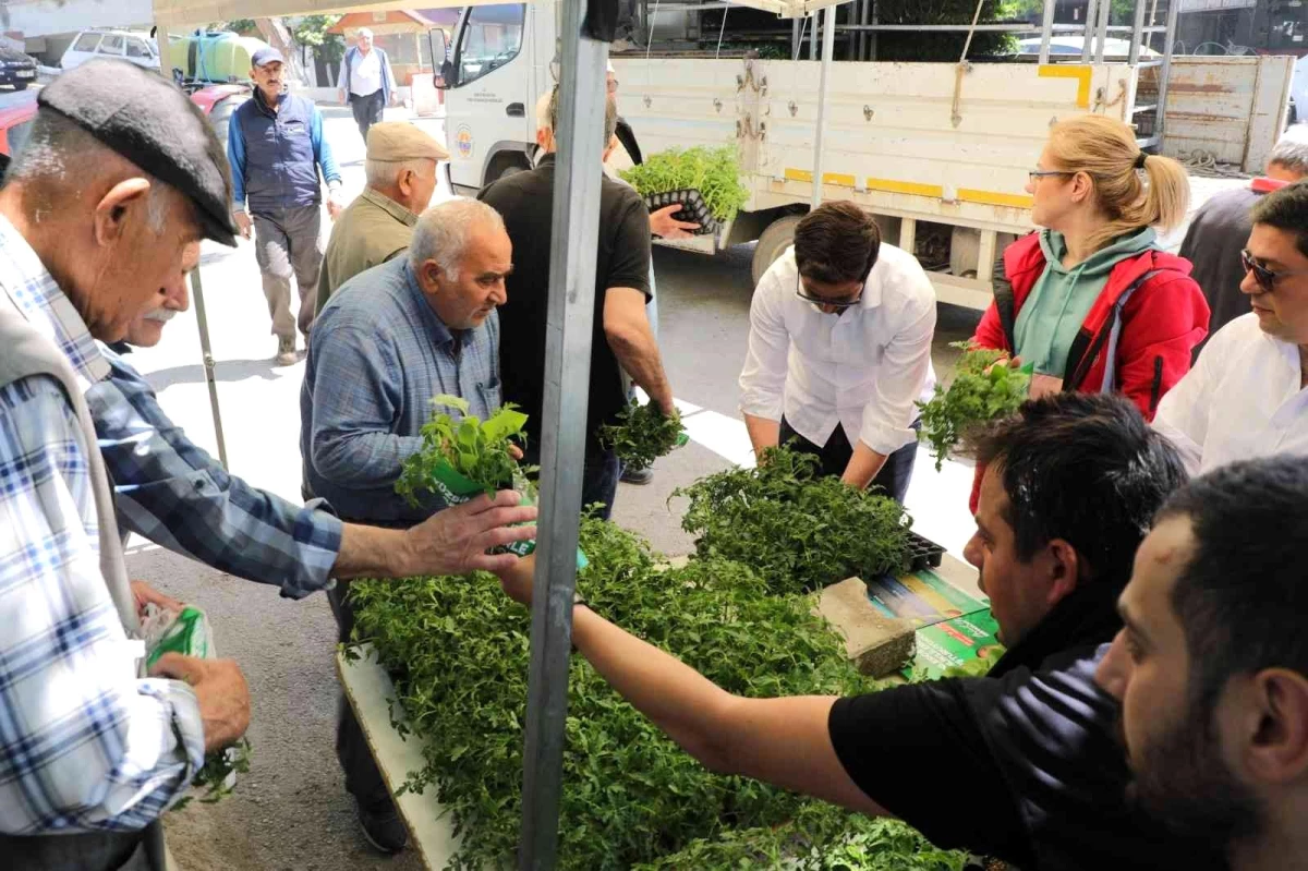 Gemlik\'te ücretsiz fide dağıtımı başladı