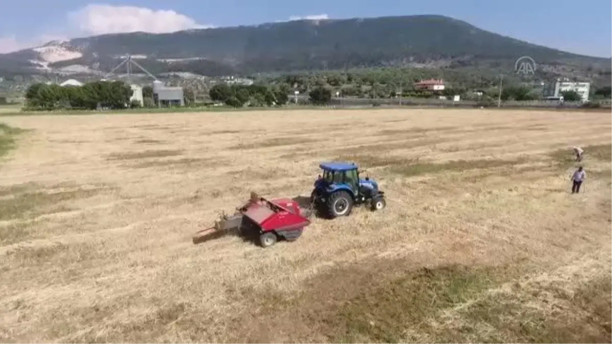 Kadın üreticilere saman balyası dağıtıldı