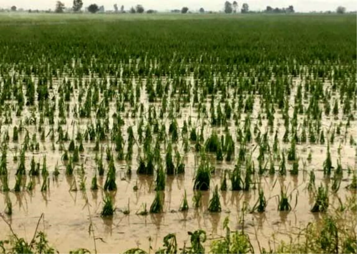 Kadirli\'de 4 köyde dolu yağışı etkili oldu