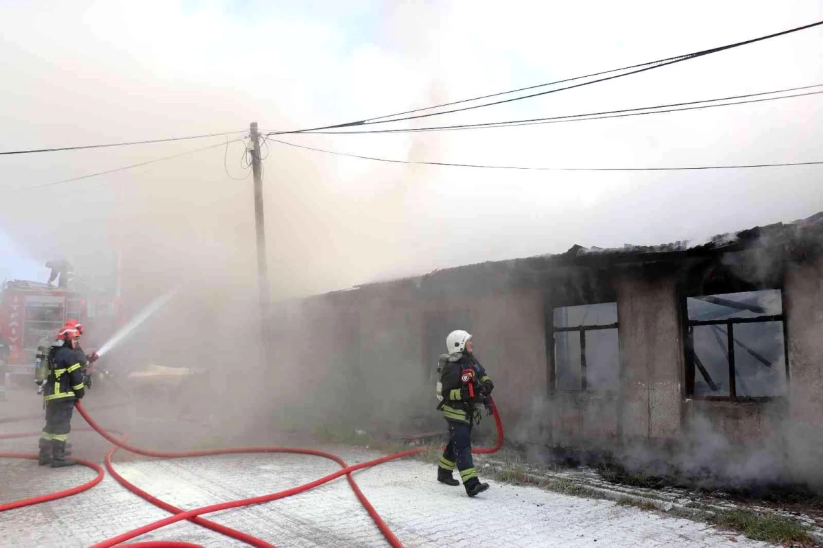 Son dakika haber | Kereste fabrikasında korkutan yangın