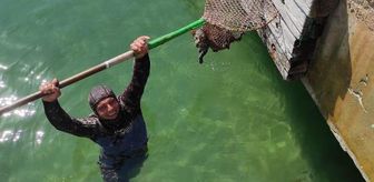 Mendirek altına sıkışan kediyi dalgıç kıyafetli itfaiyeci kurtardı