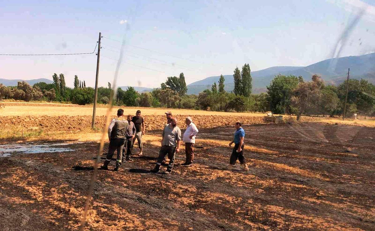 Milas\'ta arazi yangını
