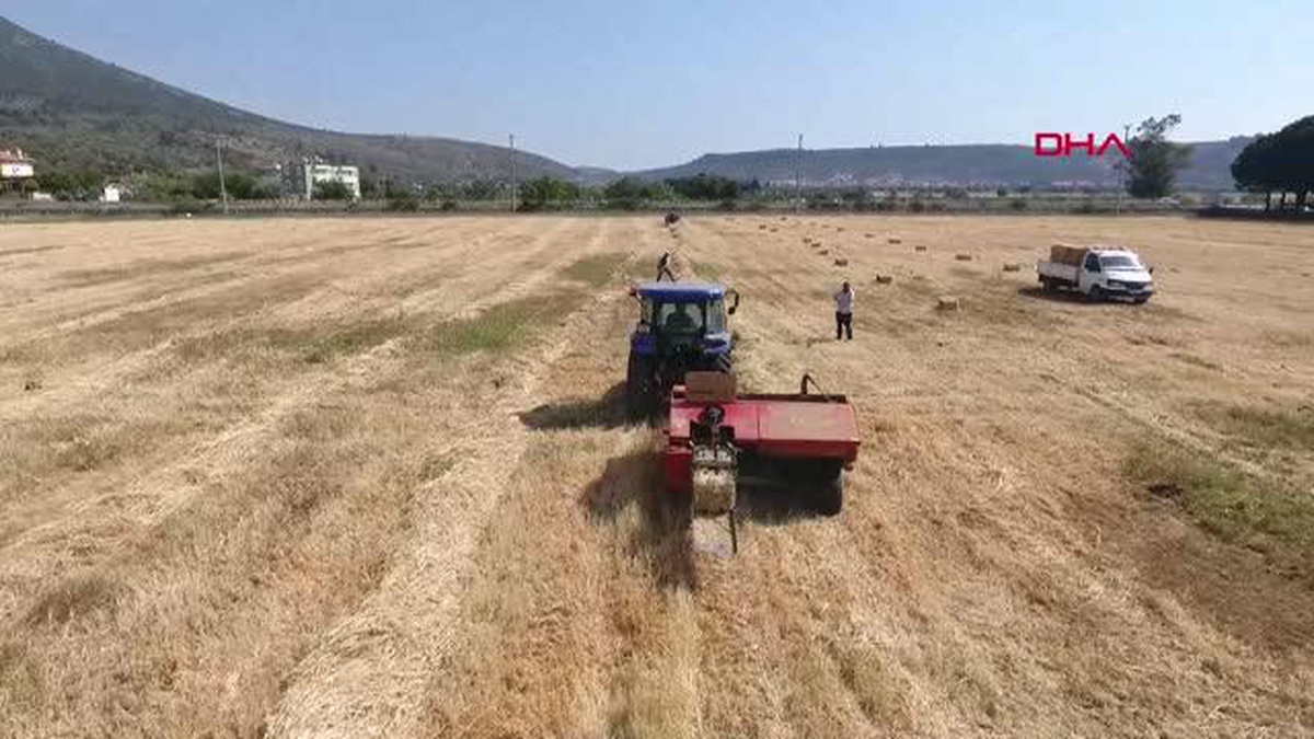 MUĞLA\'DA 70 KADIN ÜRETİCİYE SAMAN BALYASI DAĞITILDI