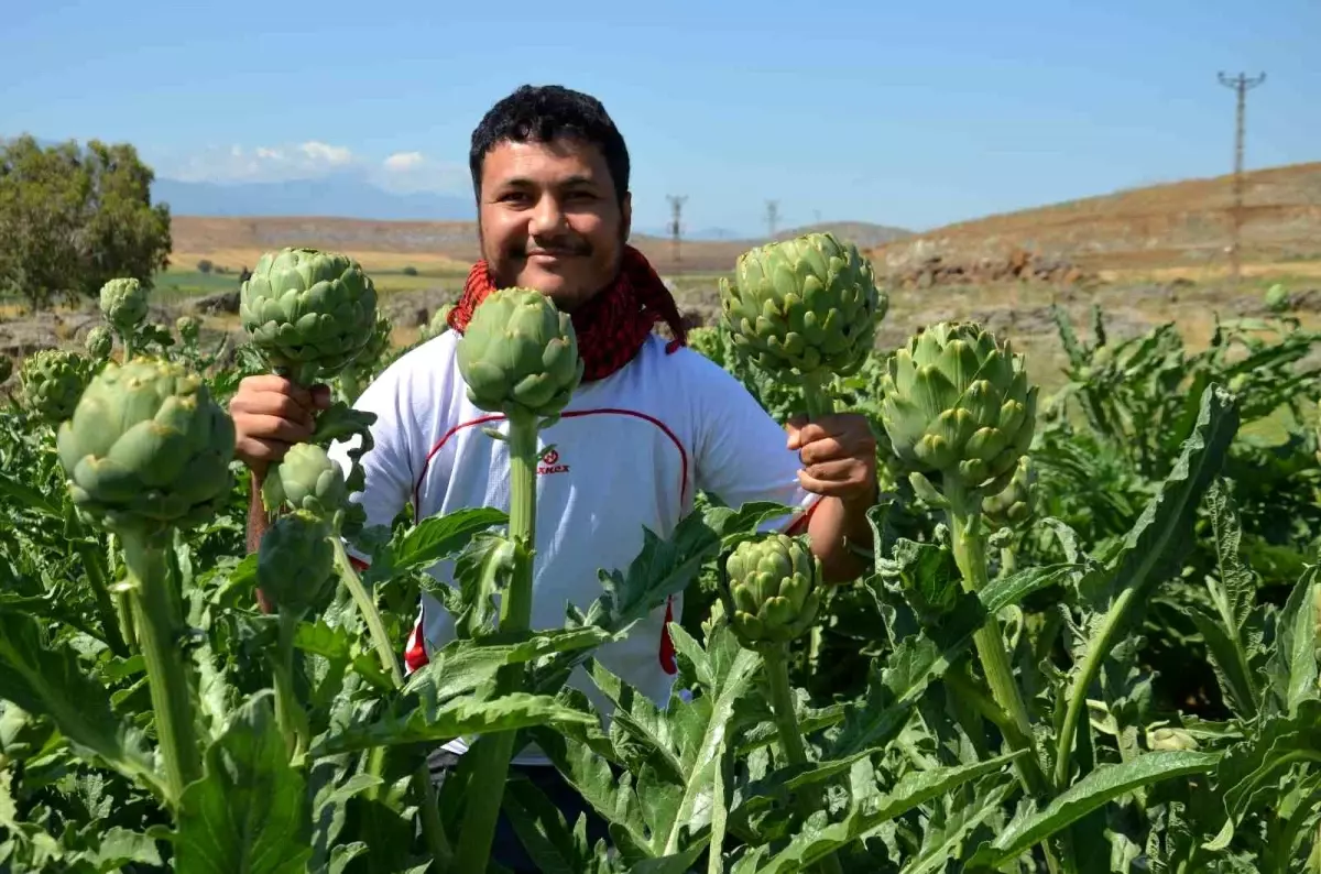 Öğretim üyesi memleketi Hatay\'da ilk defa yetiştirdi