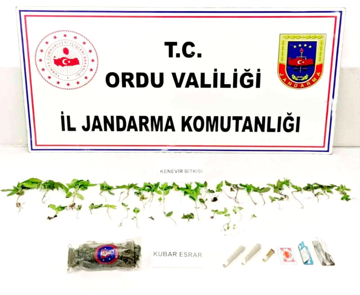 Ordu\'da uyuşturucuya izin yok