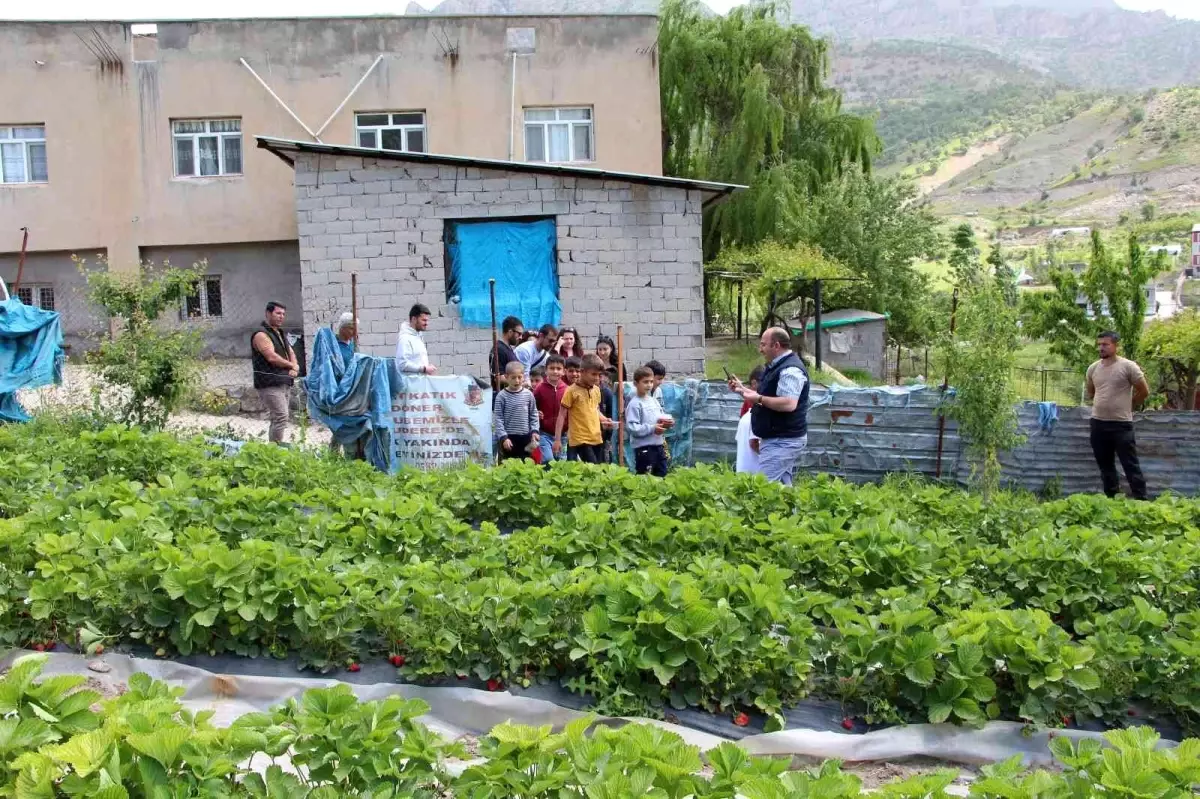 Şırnak\'ta faaliyete giren projelerle ailelerin ekonomisine katkı sağlanıyor