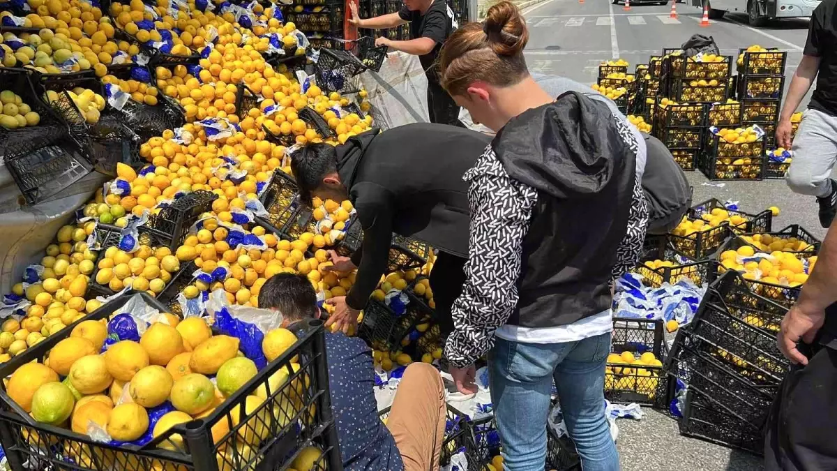 Tırdan yola onlarca kasa limon savruldu, sürücünün yardımına vatandaşlar koştu