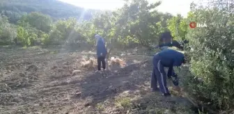 Akılalmaz olay: Renkli tapuyla kapora vurgunu... Başkasının arsasını satışa çıkararak onlarca kişiyi dolandırdı, gerçek icrayla ortaya çıktı