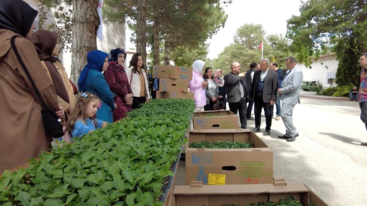 Erzincan\'da kadın çiftçilere fide desteği