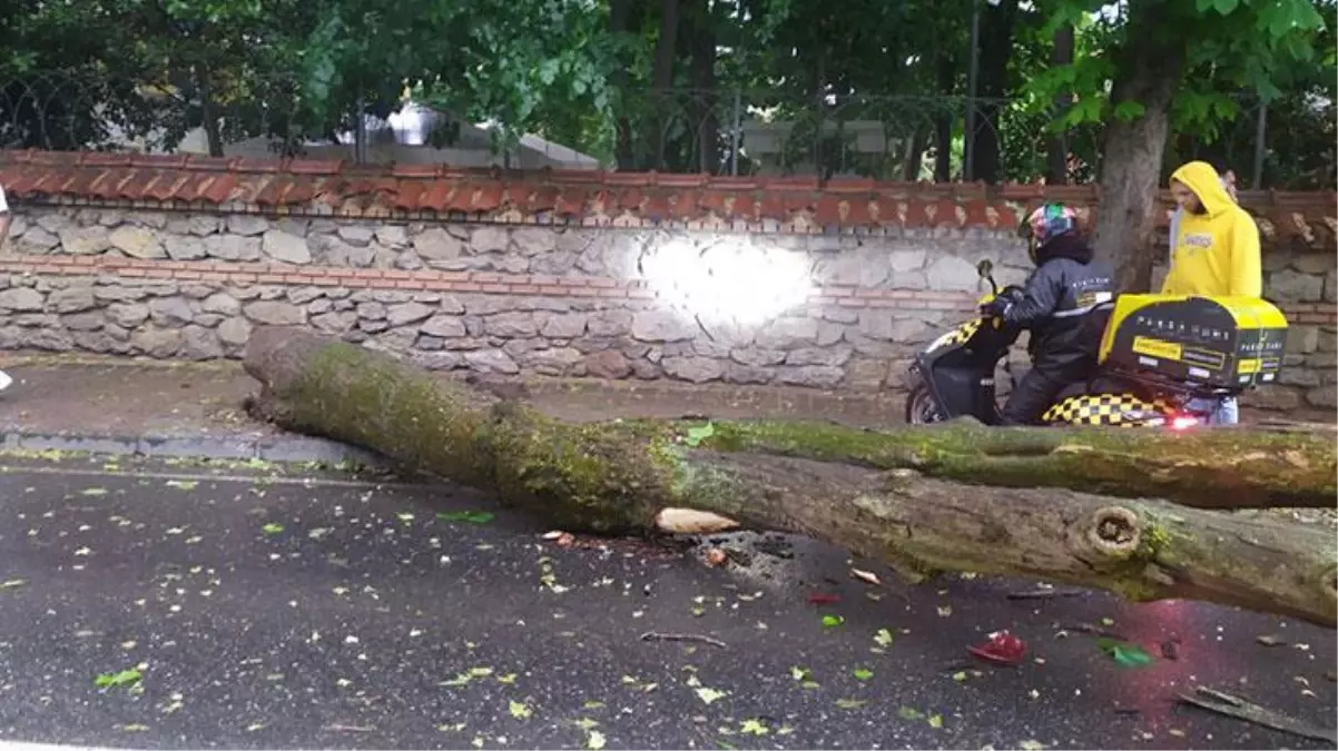 Beklenen sağanak yağış başladı! İstanbul Kadıköy\'de devrilen ağaç yolu ulaşıma kapattı
