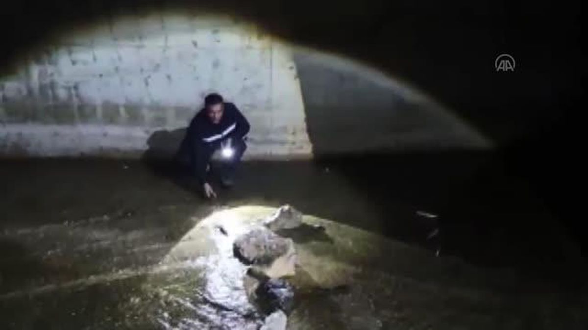 Kaçak inci kefali avlayanlara 186 bin lira ceza kesildi