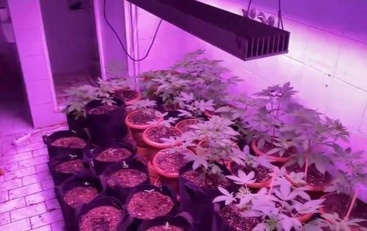 Mersin'de hava destekli uyuşturucu operasyonu: 23 gözaltı (2)