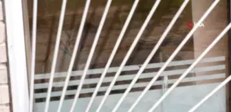 Rus saldırısında ölenler Bucha'daki morglarda bekletiliyor