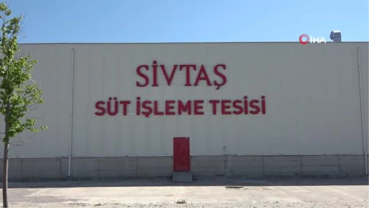 SİVTAŞ\'ta üretime geçildi: Sivas Valiliği öncülüğünde kurulan süt işleme tesisi üretime geçti