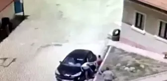 Tiyatro sanatçısı sokak köpeklerini beslerken saldırıya uğradığı iddiasıyla şikayetçi oldu (3)