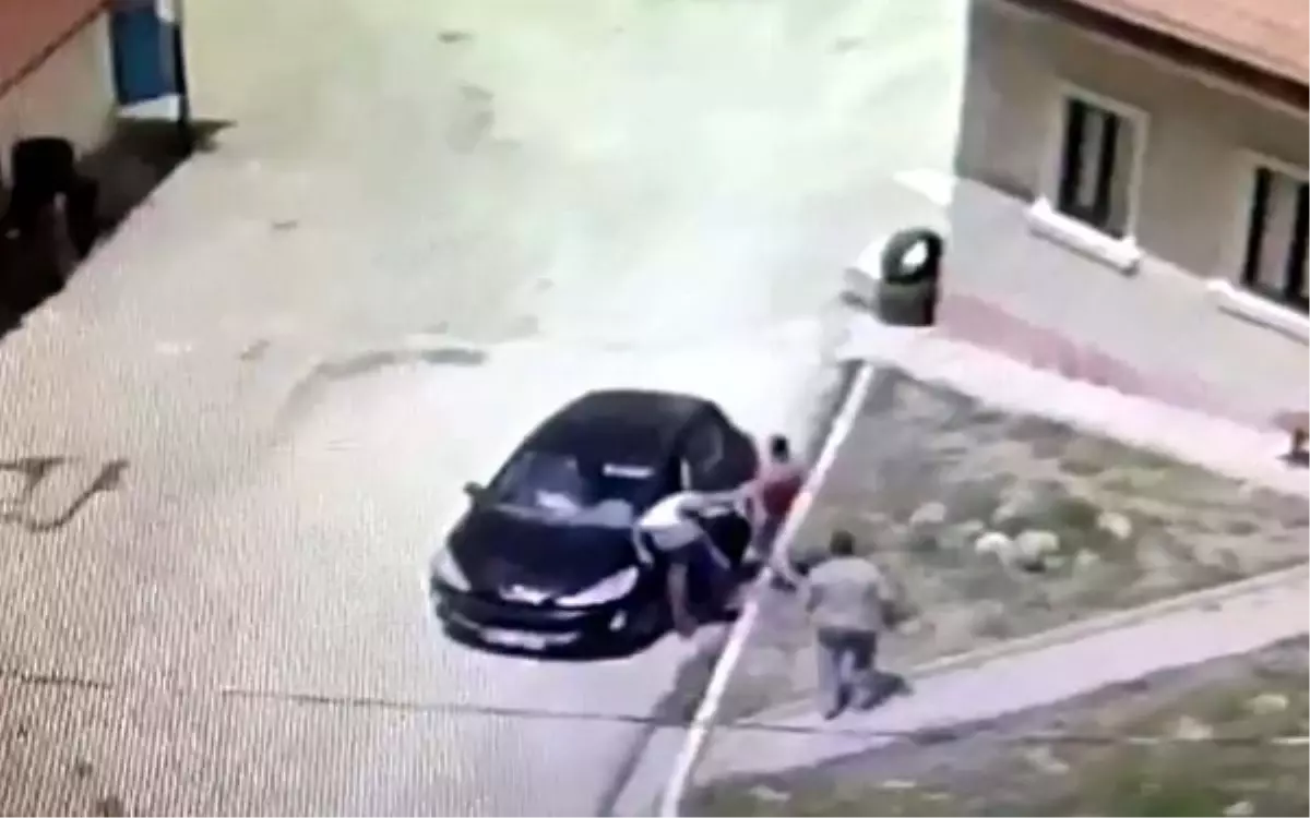 Tiyatro sanatçısı sokak köpeklerini beslerken saldırıya uğradığı iddiasıyla şikayetçi oldu (3)