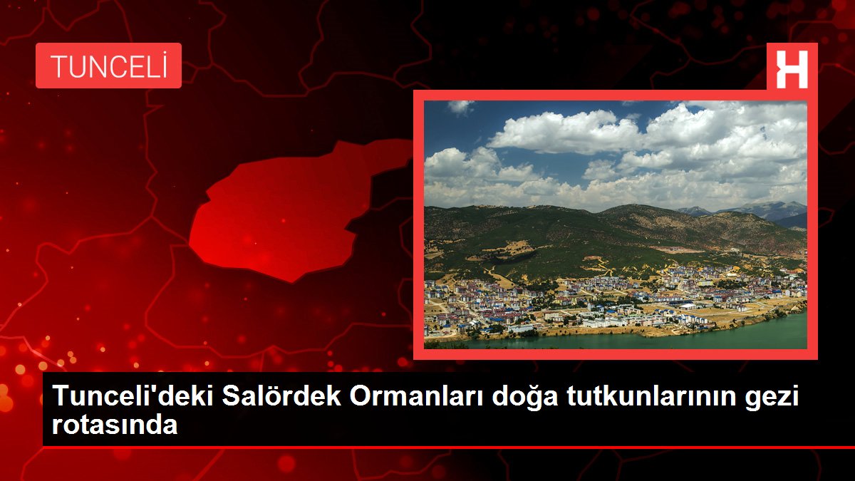 Tunceli'deki Salördek Ormanları doğa tutkunlarının gezi rotasında