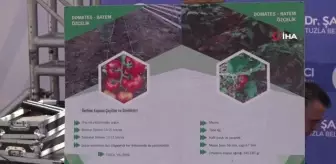 Yerli ve milli fideler Tuzlalı çiftçiler ile buluştu