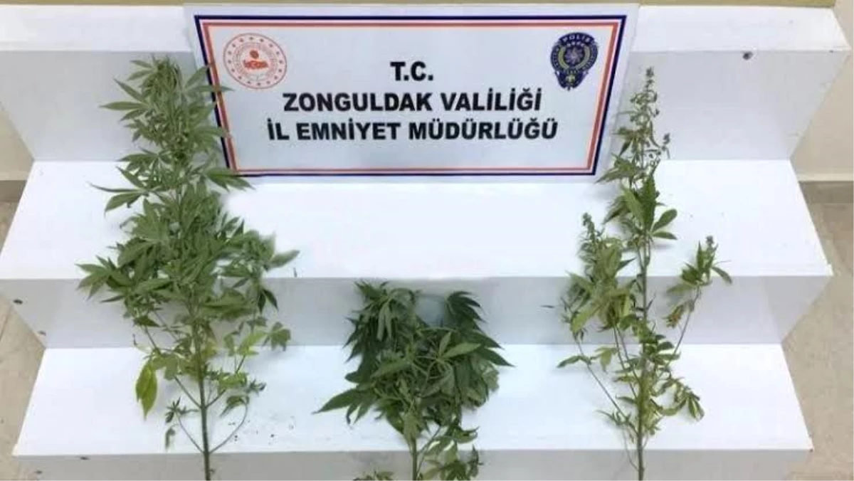 Zonguldak\'ta uyuşturucu operasyonu: 1 şüpheli yakalandı