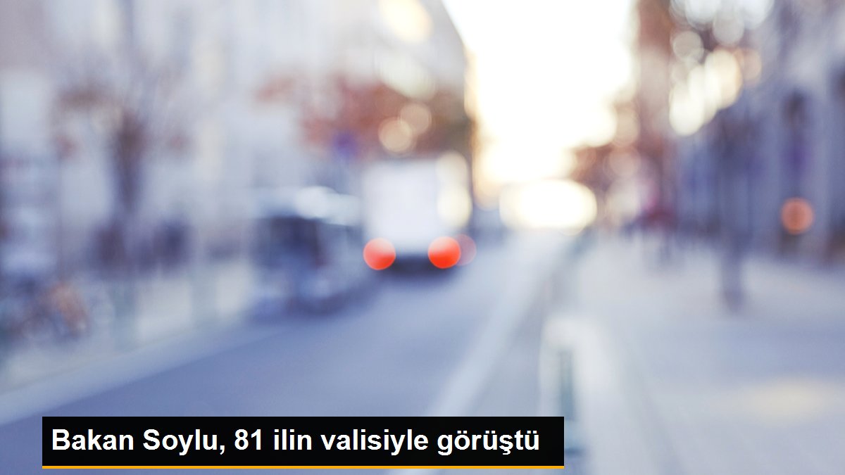 Bakan Soylu, 81 ilin valisiyle görüştü