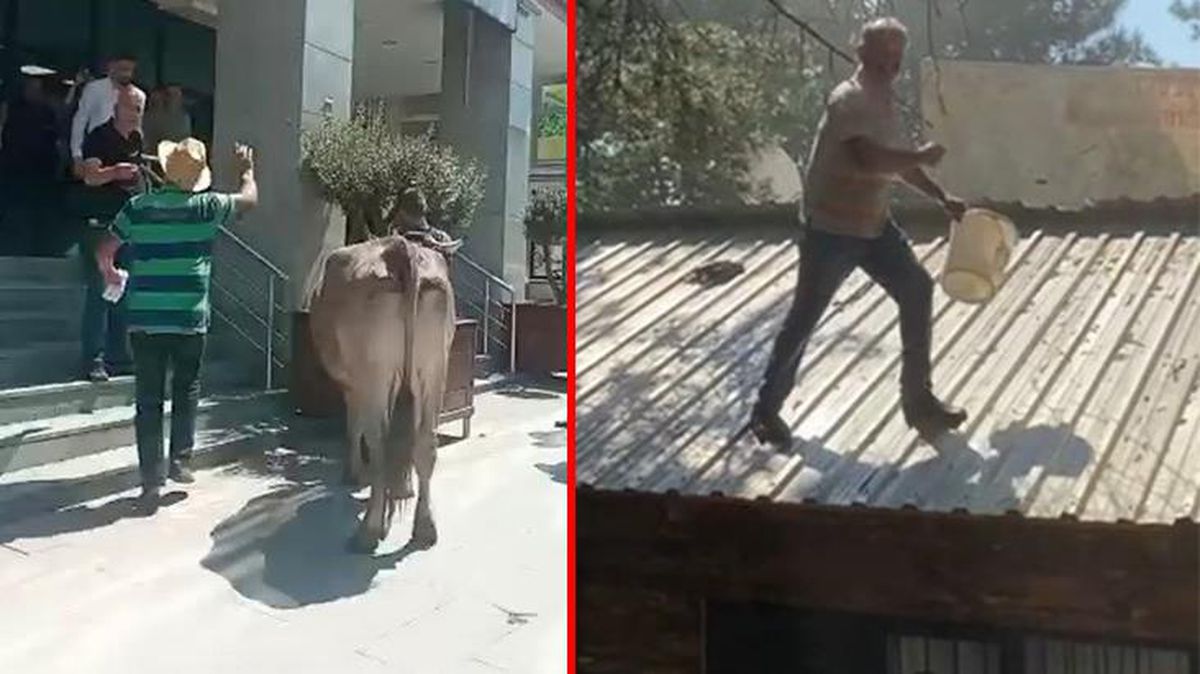 Hazine arazisine kaçak yapı yapan adam, çatıya çıkıp önce kendini yakmak istedi ardından görevli avukatı tokatladı