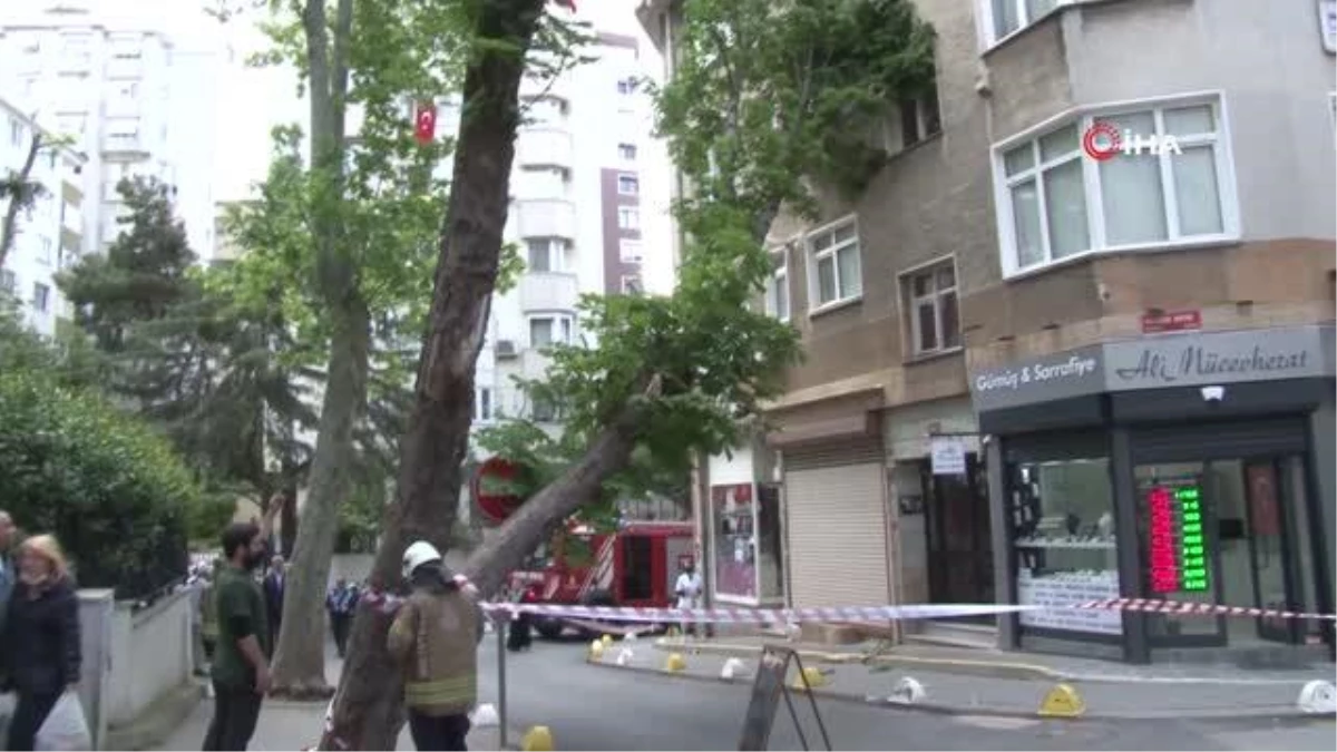 Kadıköy\'de şiddetli rüzgara dayanamayan ağaç binanın üstüne devrildi