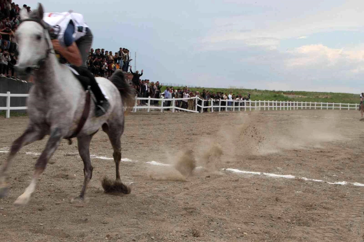 Malazgirt\'te 19 Mayıs etkinliğinde at yarışı yapıldı