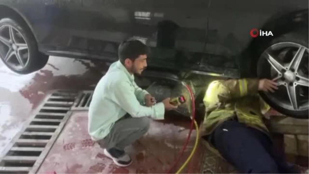 Otomobilin motorunda sıkışan kedi böyle kurtarıldı