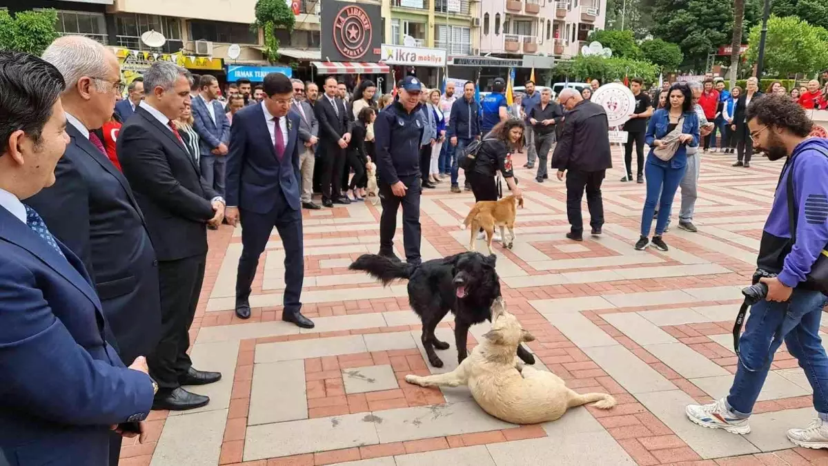 Protokolün sokak köpekleriyle imtihanı! Ne yaptılarsa uzaklaştıramadılar