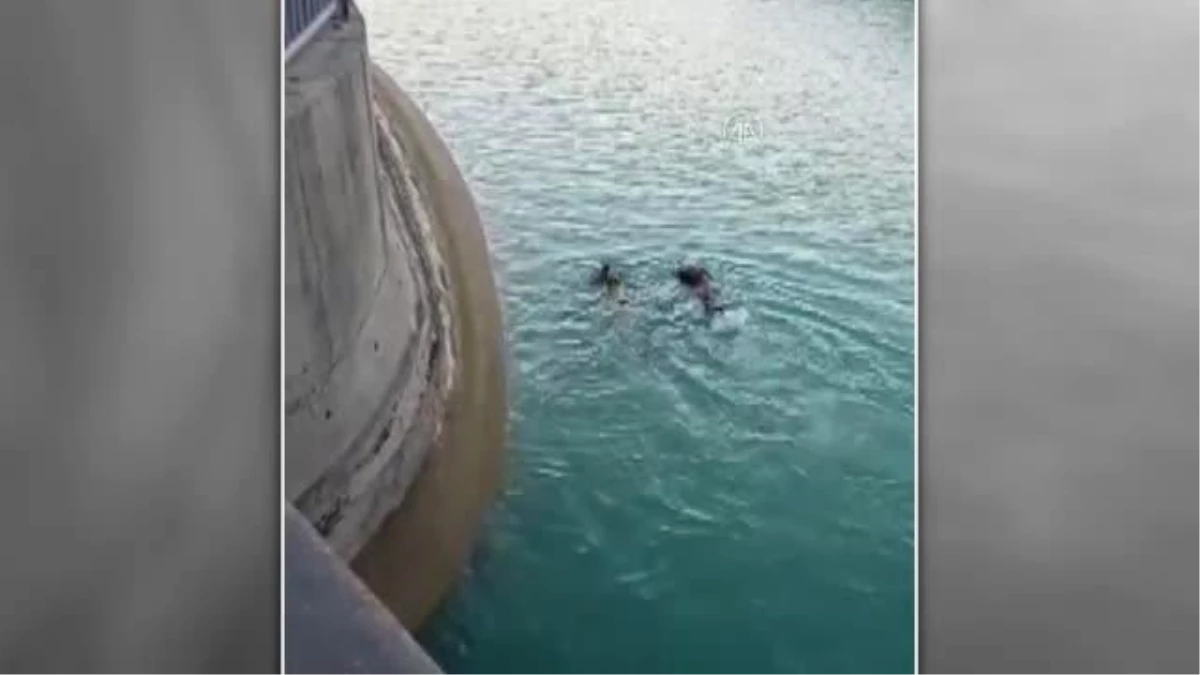 ŞANLIURFA - Sulama kanalında düşen kişi boğuldu