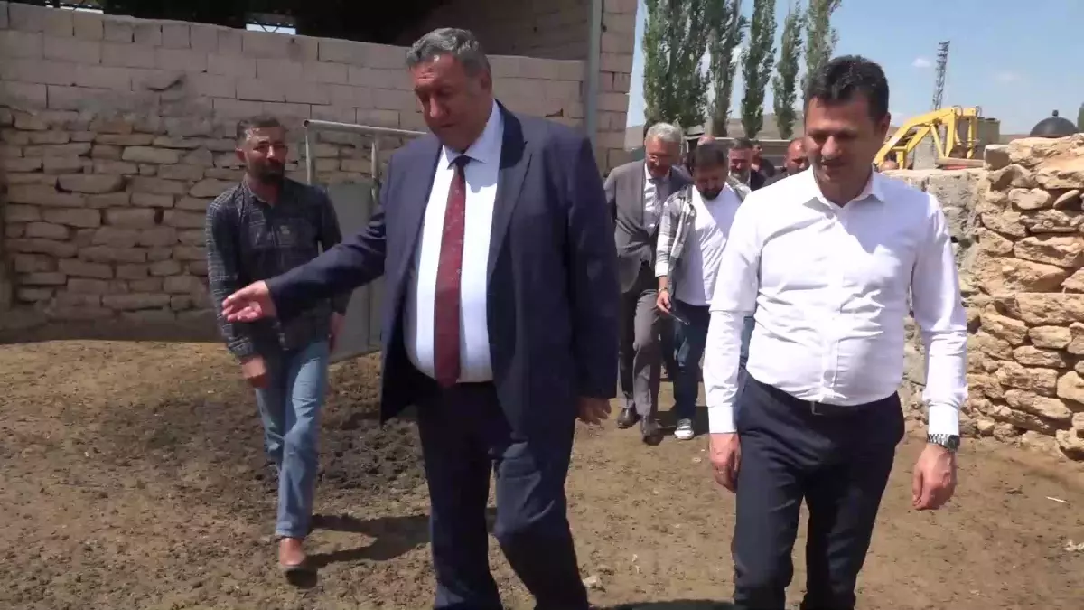 Aksaray\'lı Üretici: "Kuzular İçin Yem Almakta Zorlandık. Mera da Kalmadı, Hepsini İşgal Ettiler"