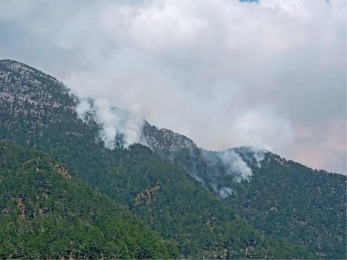 Alanya\'da dün çıkan orman yangını kontrol altına alındı