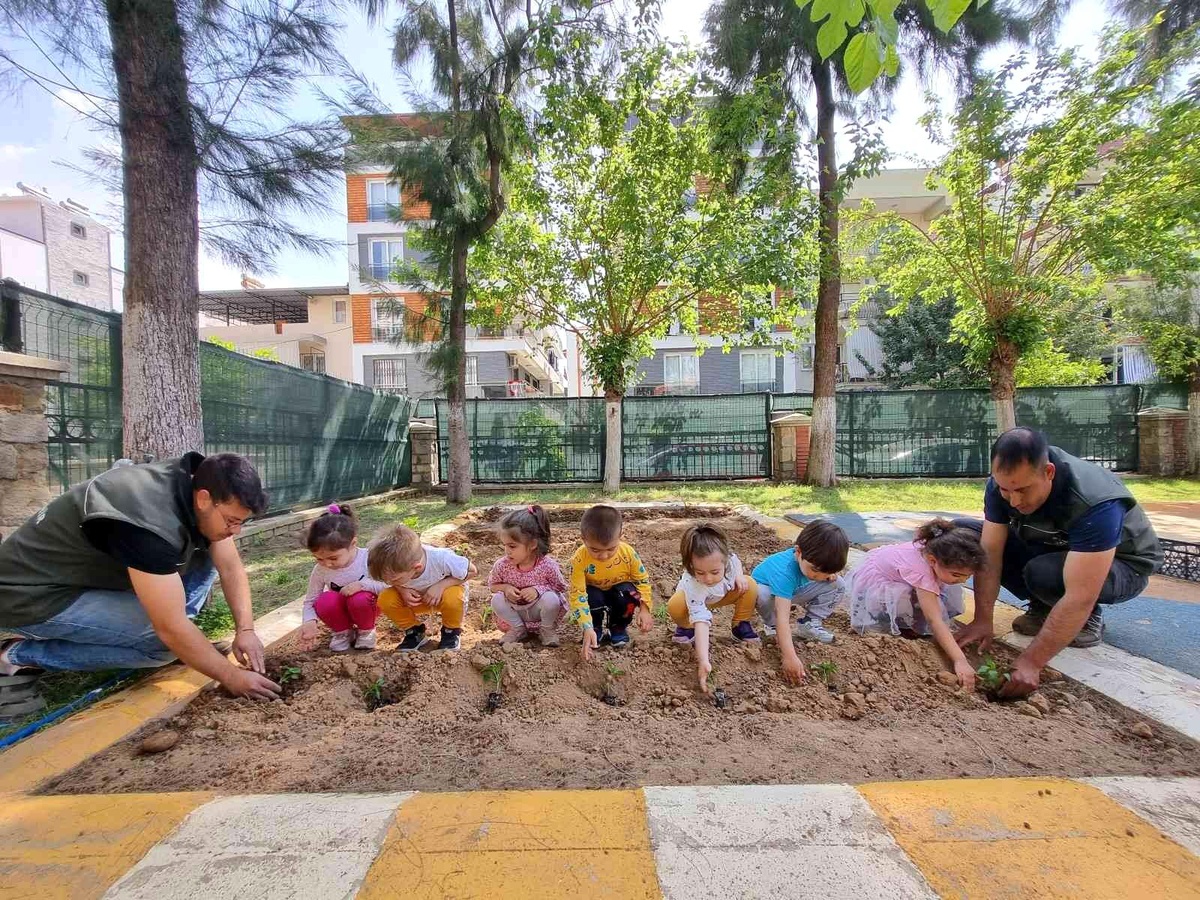 Aydın Büyükşehir Belediyesi\'nin Ata Tohumları Projesi çocukların ellerinde büyüyor