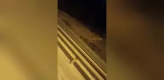 Bilecikli Bal Üreticisin Kovanlarını Ayılar Parçaladı