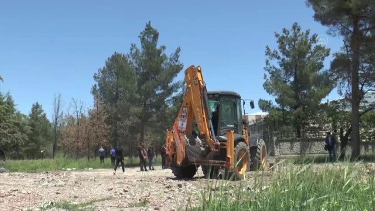 DİYARBAKIR - 25 yıllık ağaçlar sökülerek, zarar görmeden yeni yerlerine dikilecek