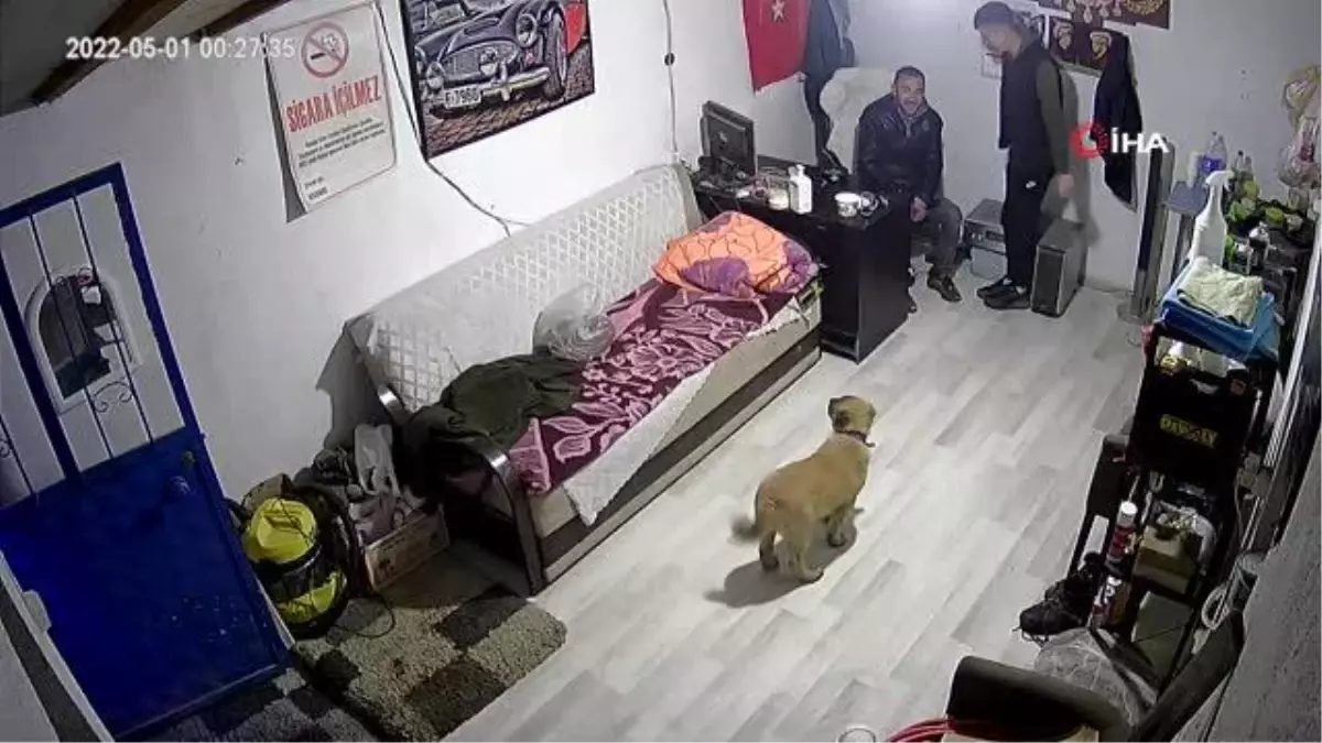 İşyerine giren gencin köpekten korktuğu anlar kamerada