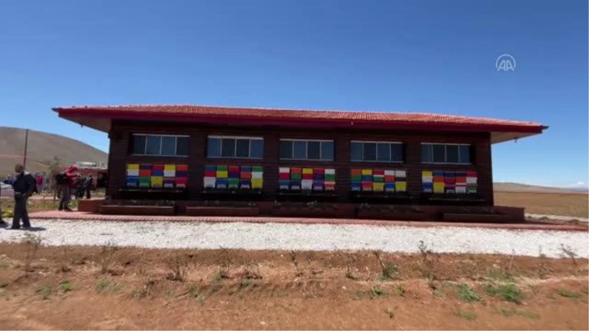 KAHRAMANMARAŞ - Lavanta tarlasına kurulan "Arı Evi", rengarenk kovanlarıyla ilgi çekiyor (2)